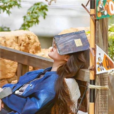 神偷特工 在线观看